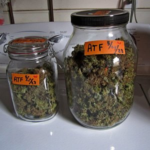 4 ATF7.8oz.jpg