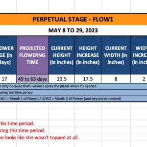 FLOW1 (Cathy)-May 8 to 29, 2023.jpg