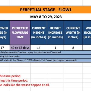 FLOW1 (Chloe)-May 8 to 29, 2023.jpg