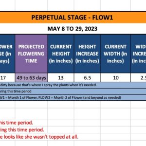 FLOW1 (Claire)-May 8 to 29, 2023.jpg