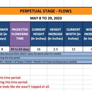 FLOW1 (Patsy)-May 8 to 29, 2023.jpg