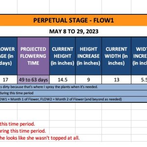 FLOW1 (Polly)-May 8 to 29, 2023.jpg