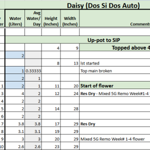 Daisy Tracker 20230601.png