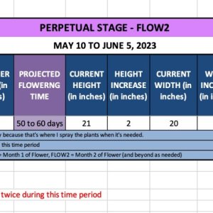 Peyote Critical (Petra) - May 10 to June 5, 2023.jpg