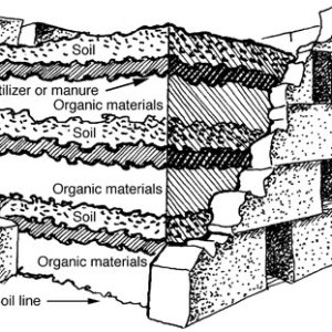 g06956figure03.jpg