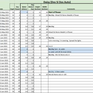 Daisy Tracker 20230621.png