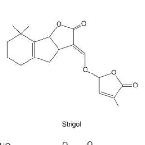 3-s2.0-B9780128021040000056-f05-05-9780128021040.jpg