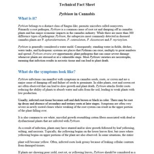 Fact+Sheet+Pythium_TUMI_Genomics1024_1.jpg