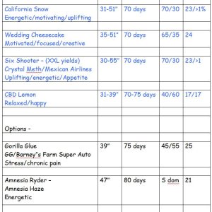 Summer auto grow 2023 table.JPG