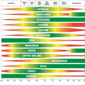 Nutrient-Availability-Scale - Copy.jpg