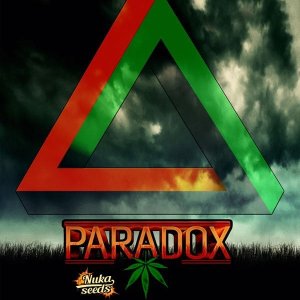 paradox-cannabis-seeds-box-2.jpg