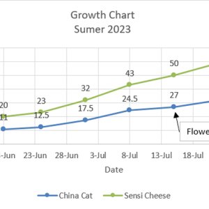 Chart 01.jpg