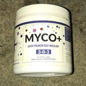 Myco plus.jpg