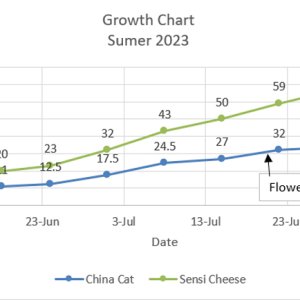 Chart 02.jpg