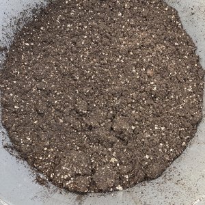 soil.jpg