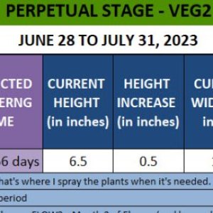 420 Info - Bonnie - June 28 to July 31, 2023.jpg