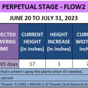 420 Update - Cher - June 20 to July 31, 2023.jpg