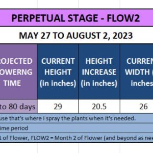 420 Update for Dumi - May 27 to August 2, 2023.jpg