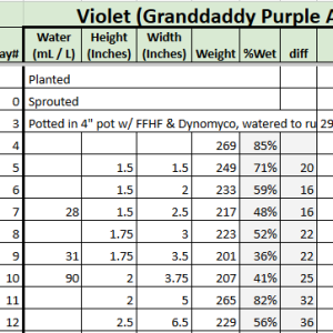 violet tracker 20230804.png