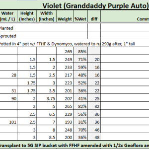 vIOLET tRACKER 20230807.png