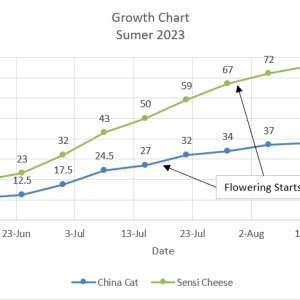 Chart 03.jpg