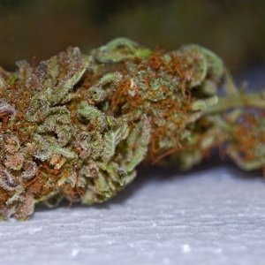 Medijuana - Nug of Month entry