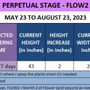 May 23 to August 23, 2023 Update.jpg