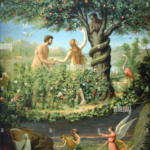 original-sin-adam-and-eve-in-the-garden-of-eden-late-c19th-chromolithography-J951PA.jpg