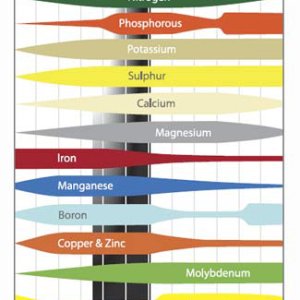 cannabis-nutrient-ph-range.jpg