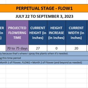 420 Info on Cassie - July 22 to September 3, 2023.jpg