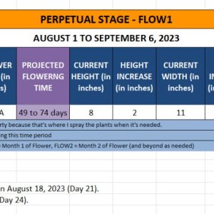 420 Update Info on Cherise for August 1 to September 6, 2023.jpg