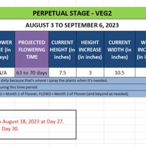 420 Update for Gina - August 3 to September 6, 2023.jpg