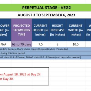 420 Update for Gina - August 3 to September 6, 2023.jpg