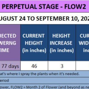 420 Update on Malawi x PCK - August 24 to September 10, 2023.jpg