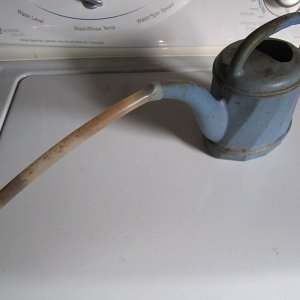 ye olde watering can.jpg