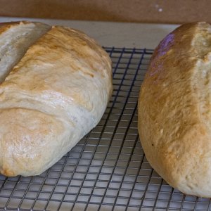 Day 71 Crusty Italian Bread 2 Oct 2023.jpg