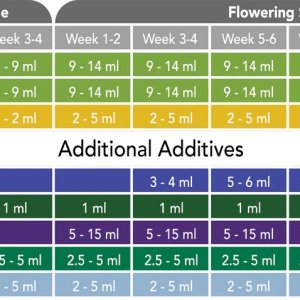 New-feeding-chart_1200x.jpeg