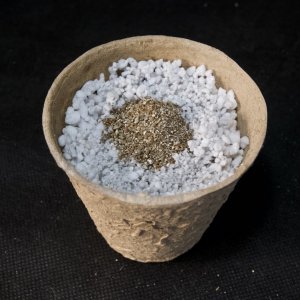 Fill Hole with Vermiculite & Moisten