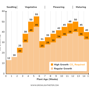 cannabis-dli-cycle-3.png