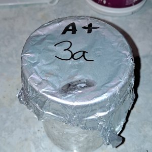 Mushroom jar 3A 17.jpg