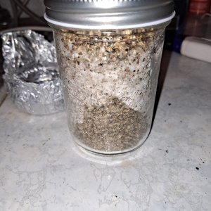 Mushroom jar 3A 20c.jpg