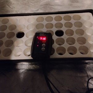 Heat pad Controller.jpg