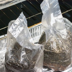 Inoculating Midwest Grow Kits all in one grow bags-4.jpg