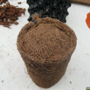 diy coco pot