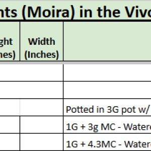 Moira Feeding Tracker.png