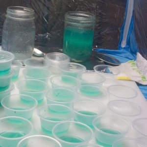 Agar plates in condiiment containers-3.jpg