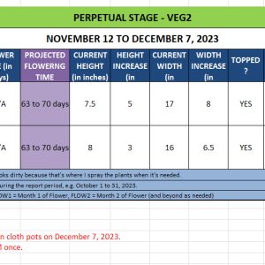 420 Update for Lamb's Bread - November 12 to December 7, 2023.jpg