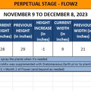 420 Update for Cherise - November 9 to December 8, 2023.jpg