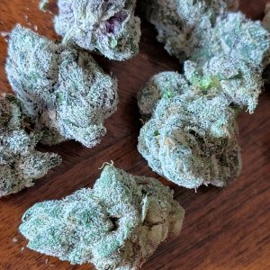 moldy-weed-or-trichomes-i-just-picked-this-up-v0-ugaqjue0o1ea1.jpg