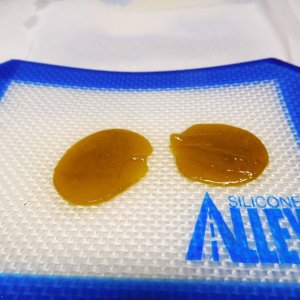 CG Rosin 1st run (4).JPG